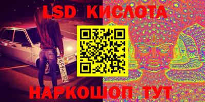 прущие грибы Гусиноозёрск