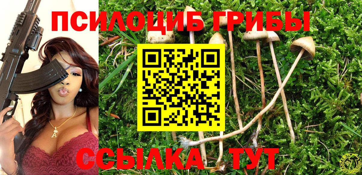 Псилоцибиновые грибы Psilocybine cubensis  Вход с VPN  Псилоцибиновые грибы Magic Shrooms  Миллерово 