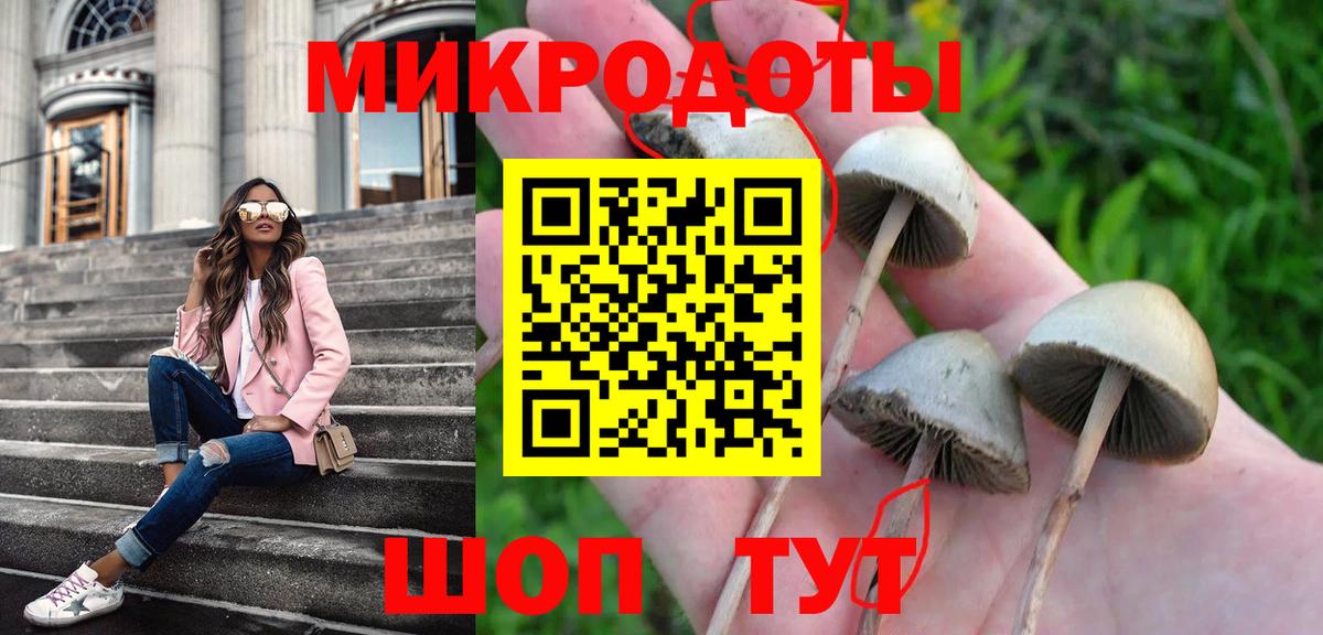 Псилоцибиновые грибы Magic Shrooms Миллерово
